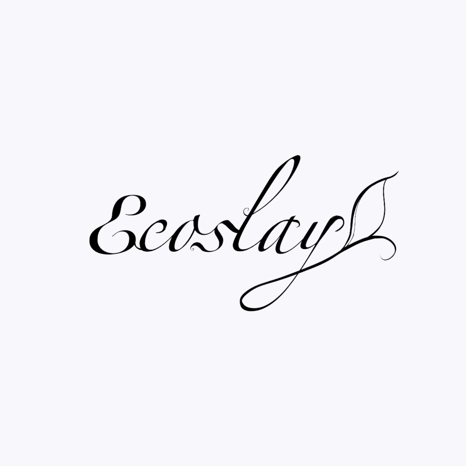 Dit is het Ecoslay logo