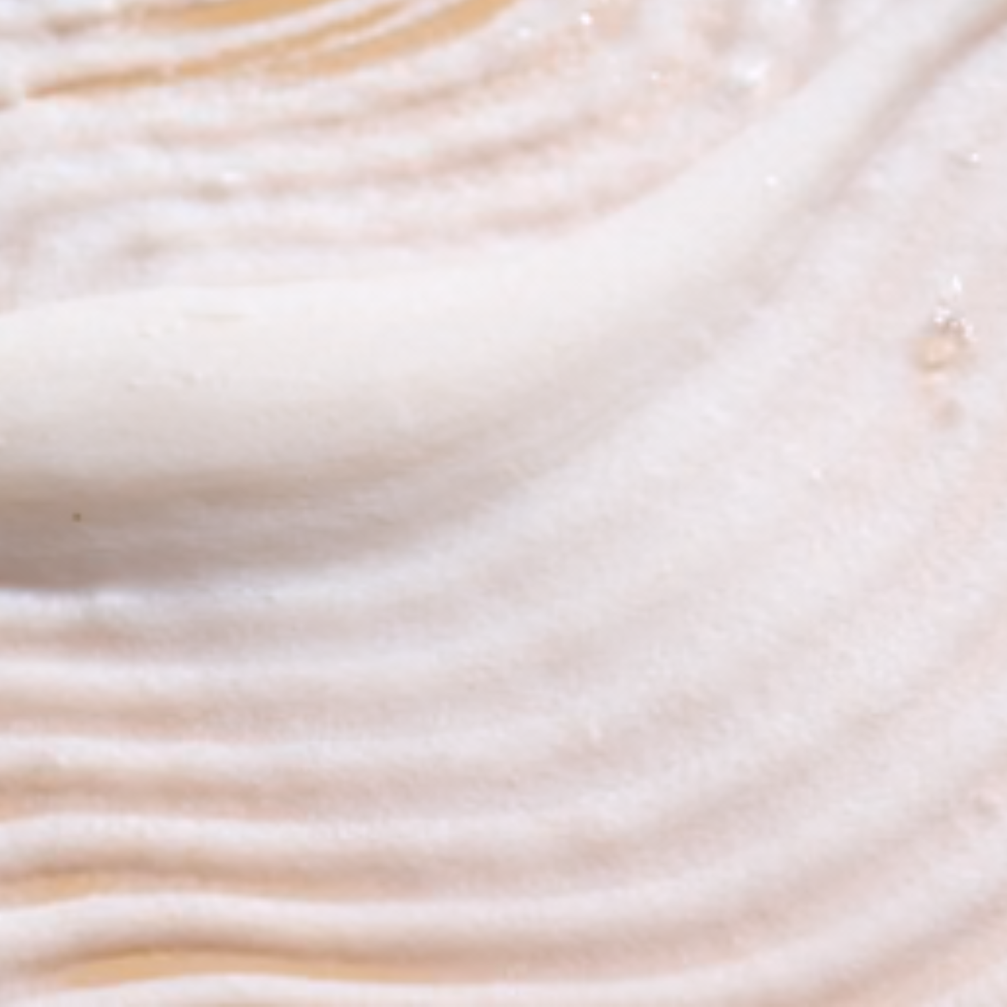 Ecoslay Rice Pudding Leave-In Conditioner, 237ml